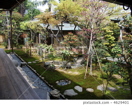 Ying Xin Tea Tea Garden 4629401