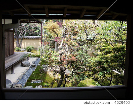 Ying Xin Tea Tea Garden 4629403