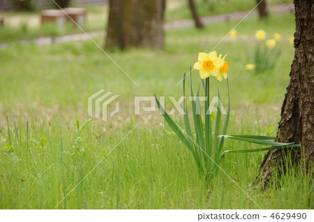 4月Suishin·Higanbana部門104 4629490