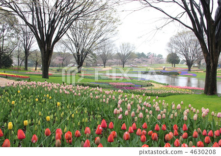 Park on a rainy day Park on a rainy day 4630208