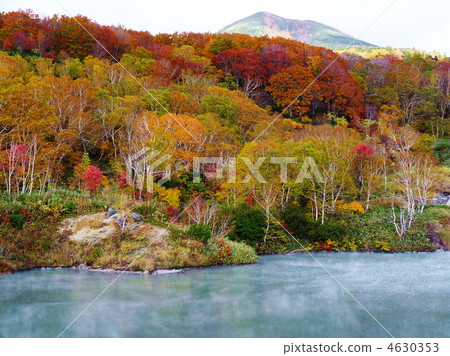 Hakkoda Jigoku期間秋葉 4630353