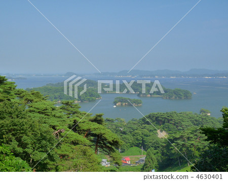 Japan Sankei Matsushima 4630401