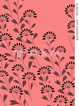 草地 草 野草 4630879