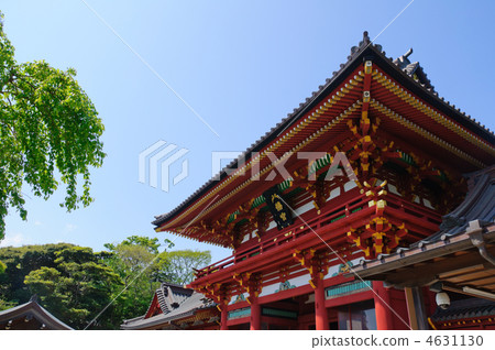 Kamakura Tsurugaoka Hachimangu Shrine Kamakura Tsurugaoka Hachimangu Shrine 4631130