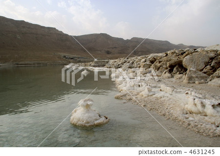 Israel Dead Sea Israel Dead Sea 4631245