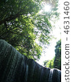 Summer waterfall 4631460