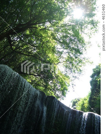 Summer waterfall Summer waterfall 4631460