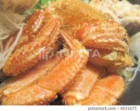 Foot / hair crab / cuisine / ingredients / Hokkaido-produced / Japan 4631675