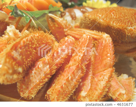 Stuff / Hair Crab / Cooking / Foodstuff / Hokkaido Produce / Japan 4631677