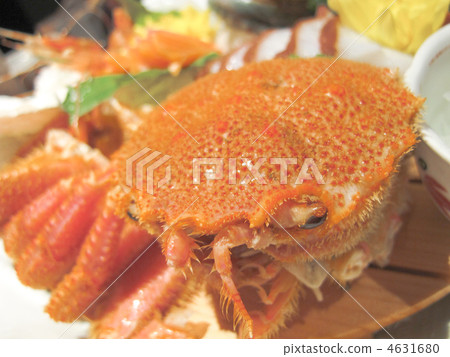 Shell / hair crab / cuisine / ingredients / Hokkaido-produced / Japan Shell / hair crab / cuisine / ingredients / Hokkaido-produced / Japan 4631680