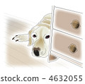 Retrievers to look from behind 4632055