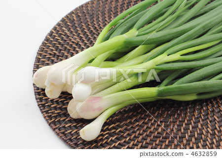 Hommage from Kumamoto Prefecture Hommage from Kumamoto Prefecture 4632859
