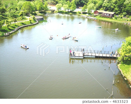 池塘和船 4633323