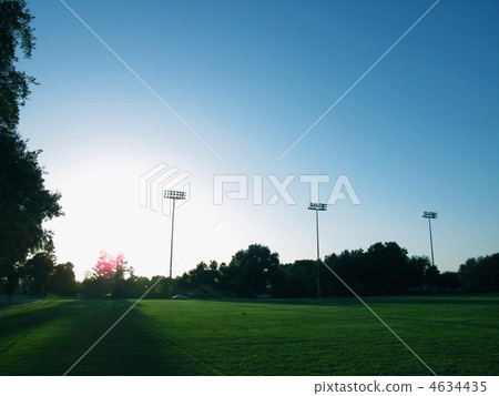 Morning on the ground Morning on the ground 4634435