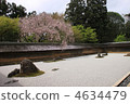 Ryoanji寺花園 4634479