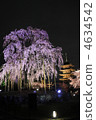 Toji·點亮 4634542