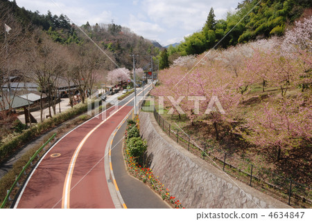 八王子Joba高速公路 八王子Joba高速公路 4634847