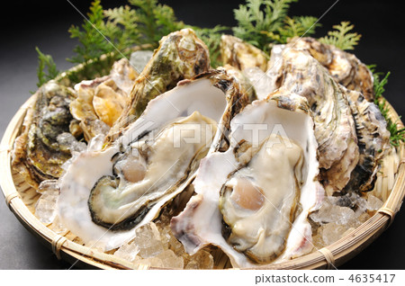 Oyster Oyster 4635417