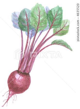 表擊敗 表擊敗 4635520