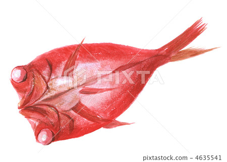 Kaname bai乾燥過夜 Kaname bai乾燥過夜 4635541