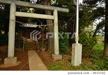 Mine Numata Rice · Shinko Shrine 4635582