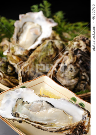 Oyster Oyster 4635766