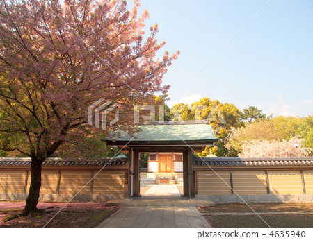 池上本門寺 池上本門寺 4635940
