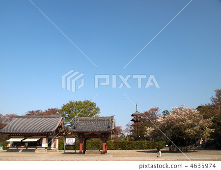 Ikegami Honmonji Temple 4635974