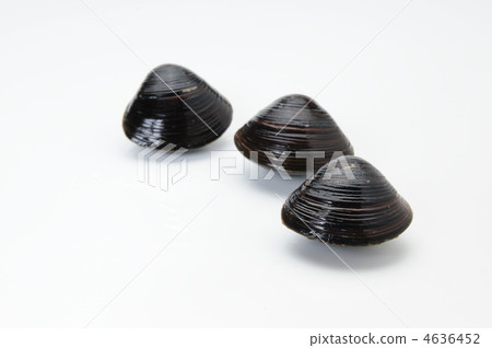 Yamato Shigeru 4636452