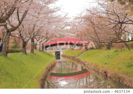 Sidigaoka公園 Sidigaoka公園 4637134