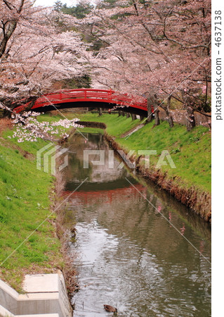 Sidigaoka公園 Sidigaoka公園 4637138