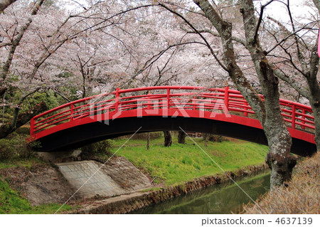 Sidigaoka公園 4637139