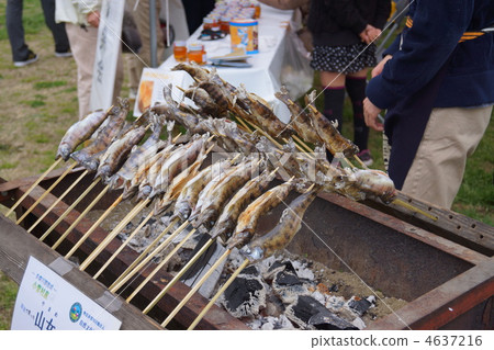 Fried rice cake 4637216