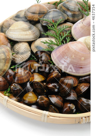 什錦貝類 什錦貝類 4637354