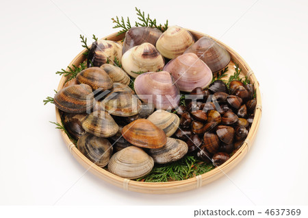 Assorted shellfish 4637369