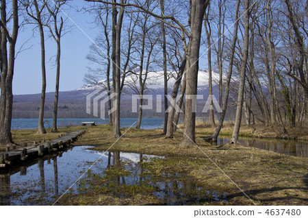 Komagatake in nature 4637480