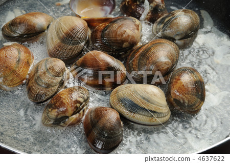 Steamed bamboo clam 4637622