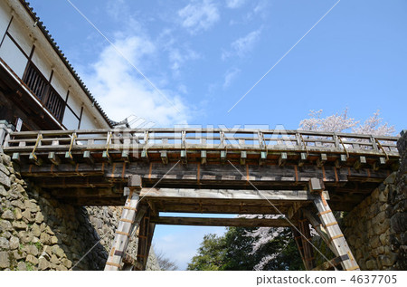 Bridge of Hikone castle Bridge of Hikone castle 4637705