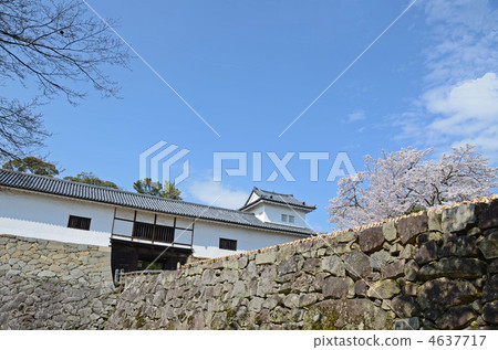 Oko of Hikone castle Oko of Hikone castle 4637717