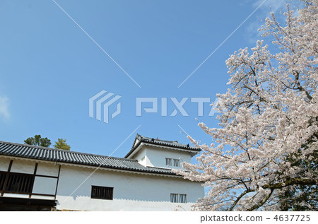 Oko of Hikone castle Oko of Hikone castle 4637725