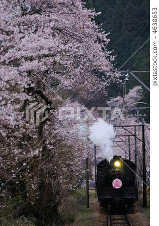 櫻花和蒸汽機車 櫻花和蒸汽機車 4638653