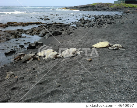 Hawaii Island Black sand beach 4640097