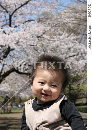 baby, infant, infants 4640208