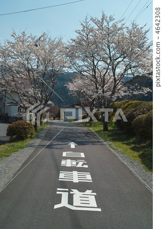 Spring Maple Ayama Cycling Road 4642308