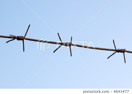 barbed wire 4643477