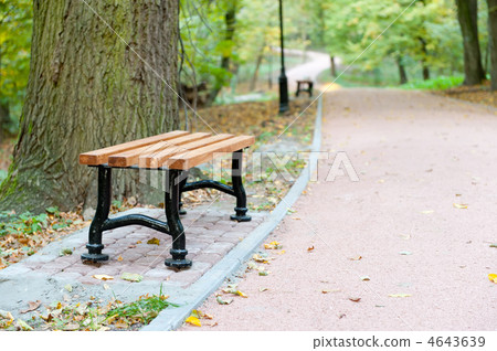 Autumn park. Rainy weather 4643639