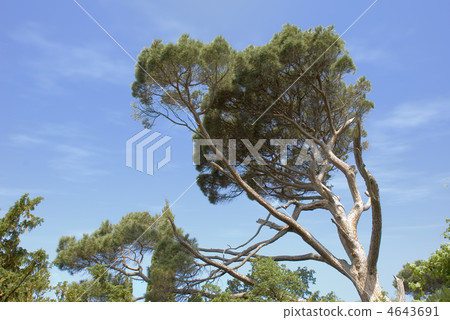 outdoorsy, growth, one 4643691