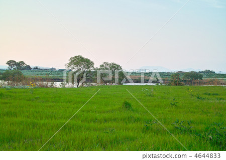 築後川河床 築後川河床 4644833