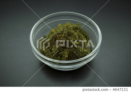 海洋葡萄 海洋葡萄 4647231