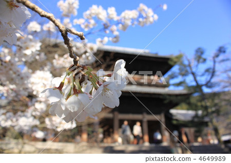 春天入口 4649989